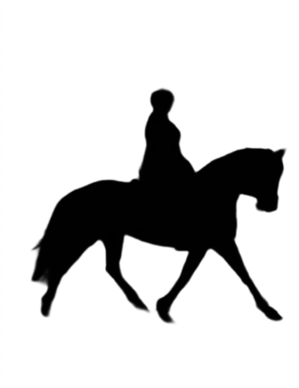 Silhouette of a person riding a horse on a white background