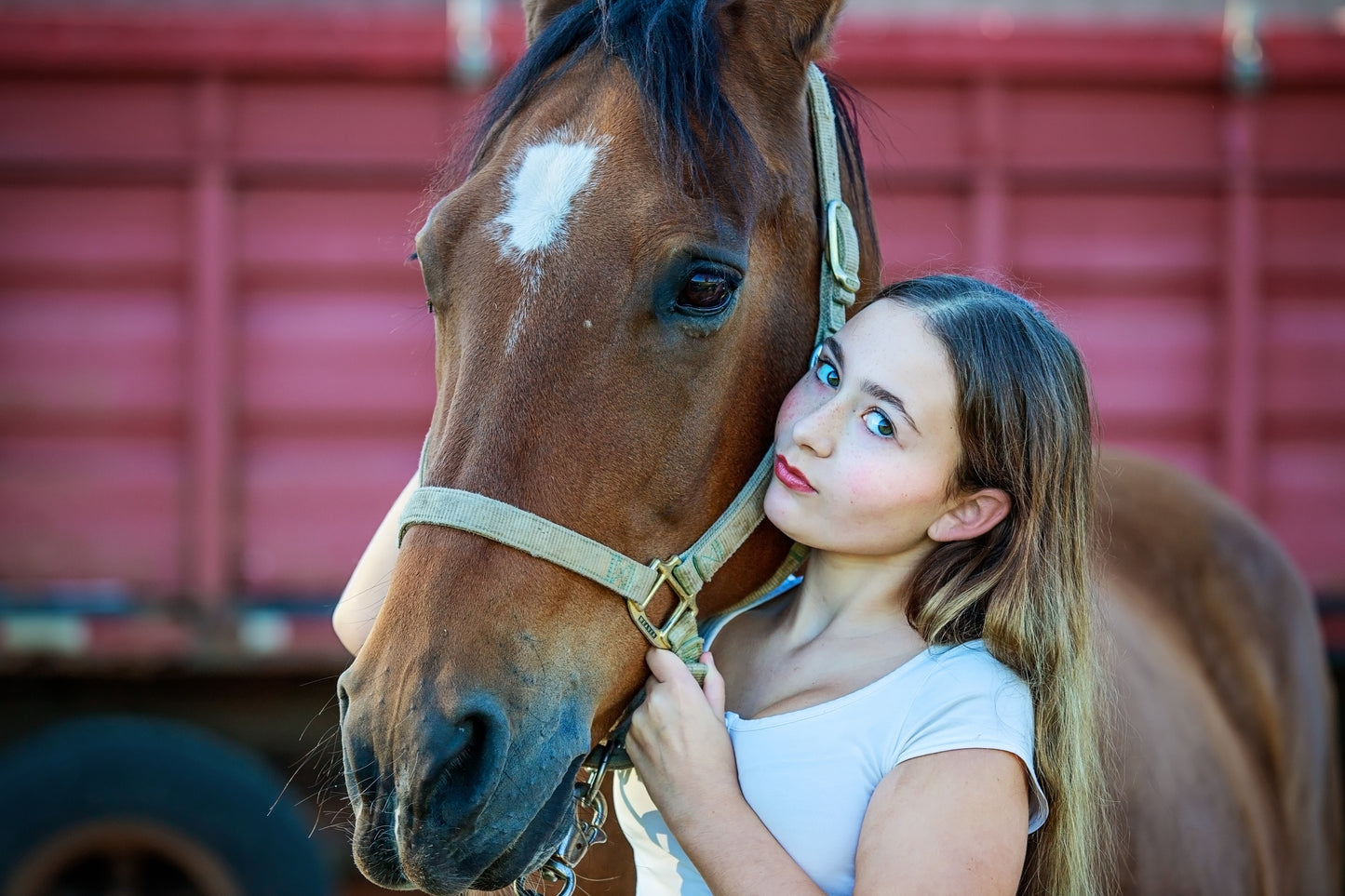 Young girl petting a brown horse with a white spot on its face, against a red background.