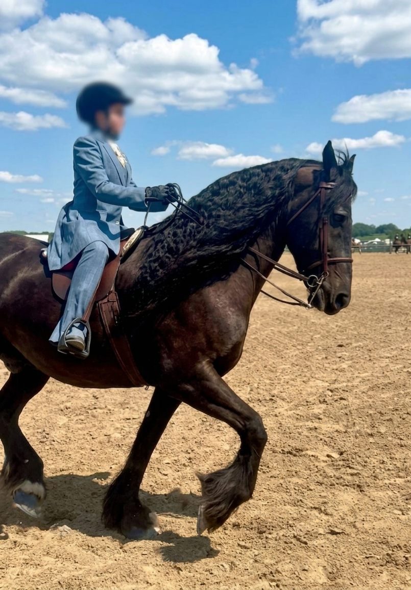 A person in a light blue suit riding a dark brown horse in an outdoor sandy arena under a blue sky with clouds. Riding a horse modeling the results of the conditioning masque 
